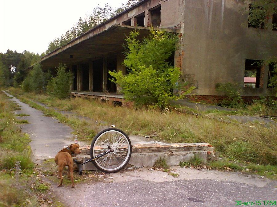 "Mogę się karnąć?" ;)