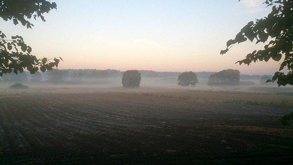 Poranne mgły nad łąkami