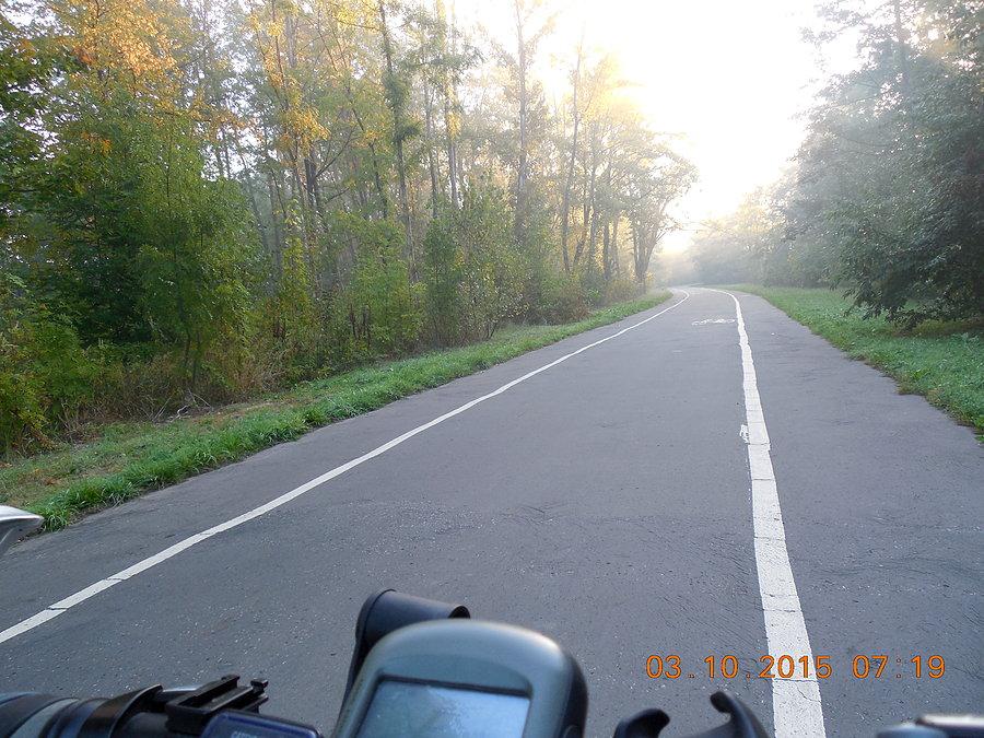 W porannej mgle w Parku Śląskim