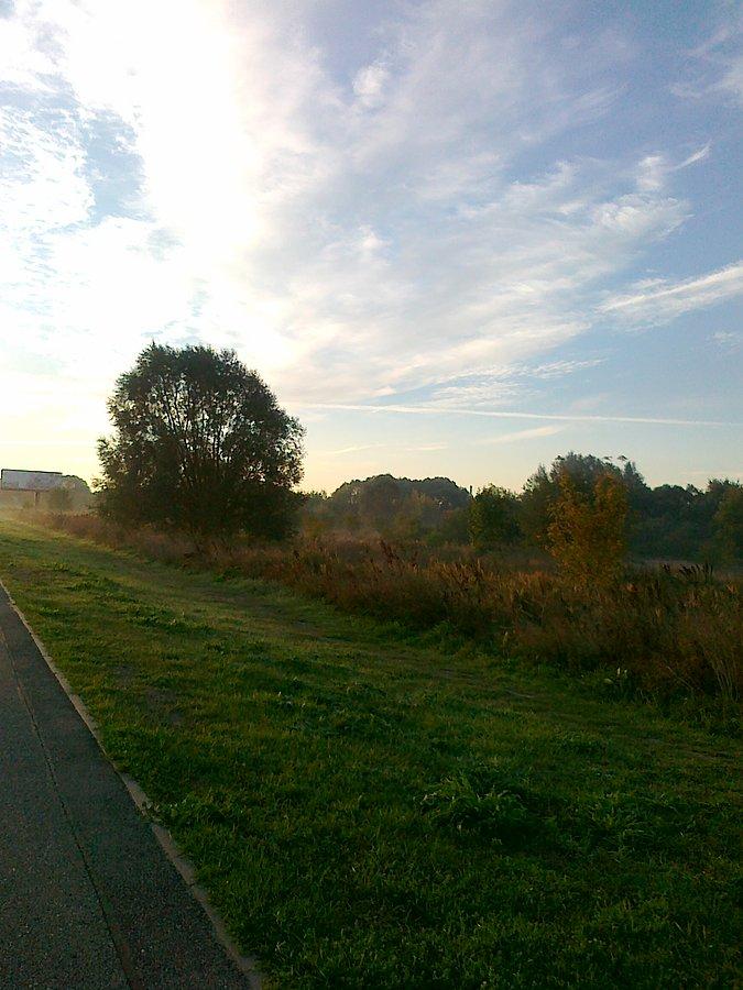 Już październik, a jeszcze zielono