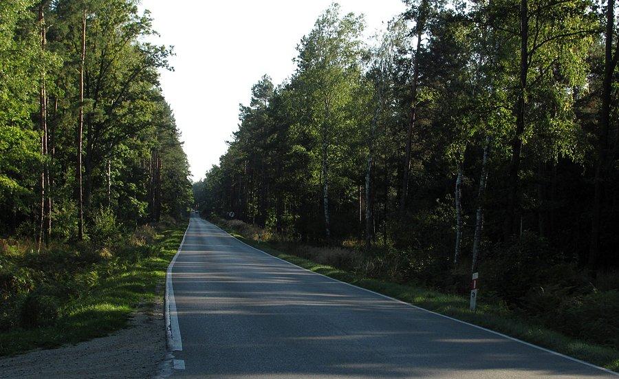 Przejazd przez lasy w stronę Kolbuszowej