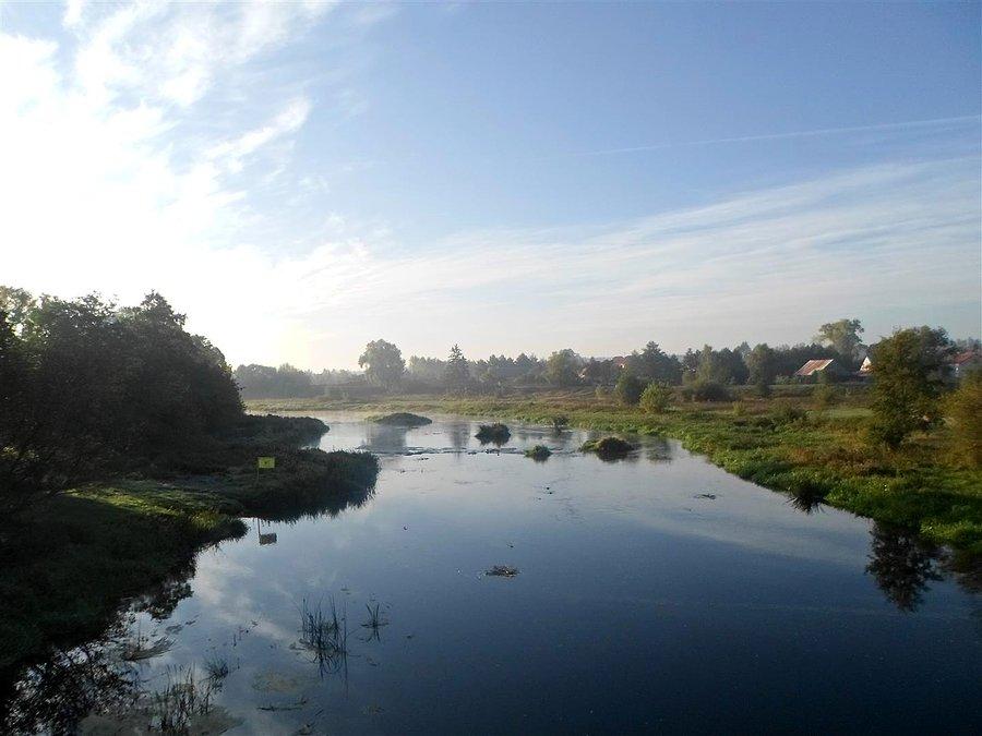 Wkra widok na południe