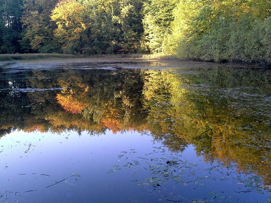 Piękne barwy jesieni w lustrzanym odbiciu