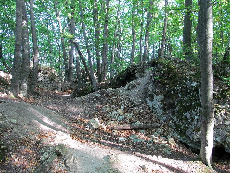 Ostrężnik