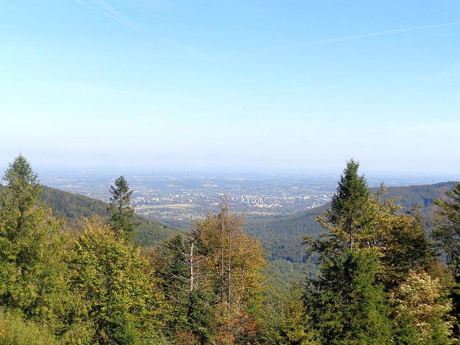Błatnia wita Bielsko