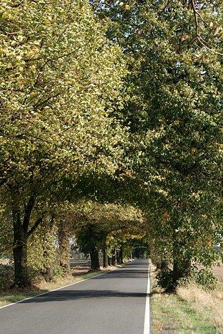 Za jakiś tydzień będzie tu kolorowy tunel