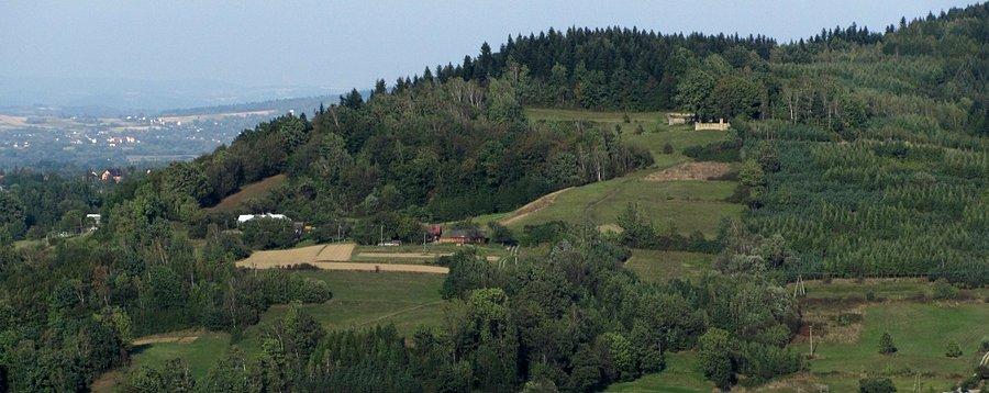 Cmantarz wojenny nad Sękową