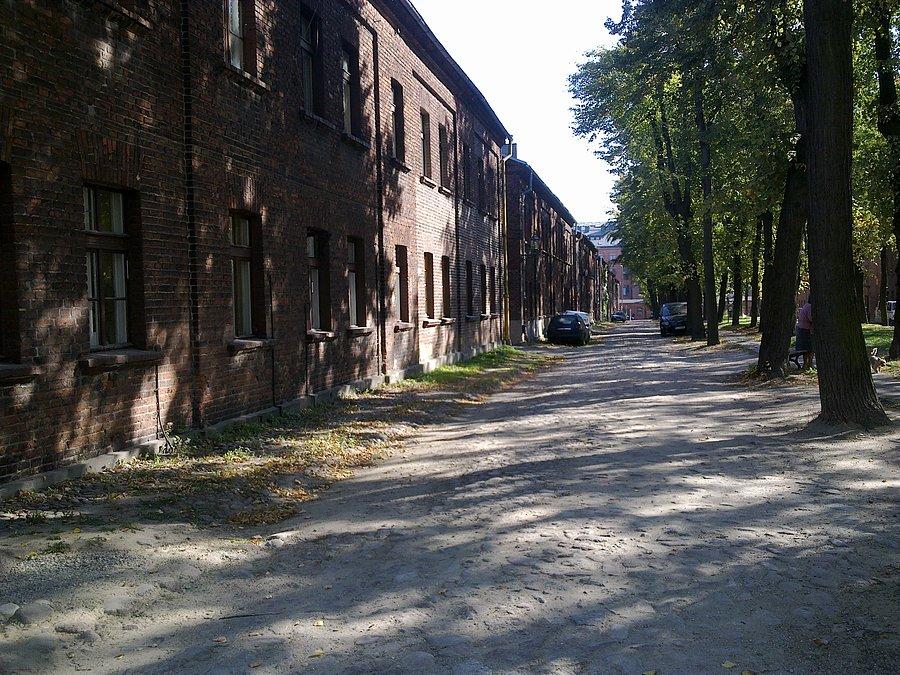 Famuły łódzkie