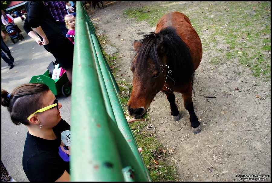 Śląski Ogród Zoologiczny
