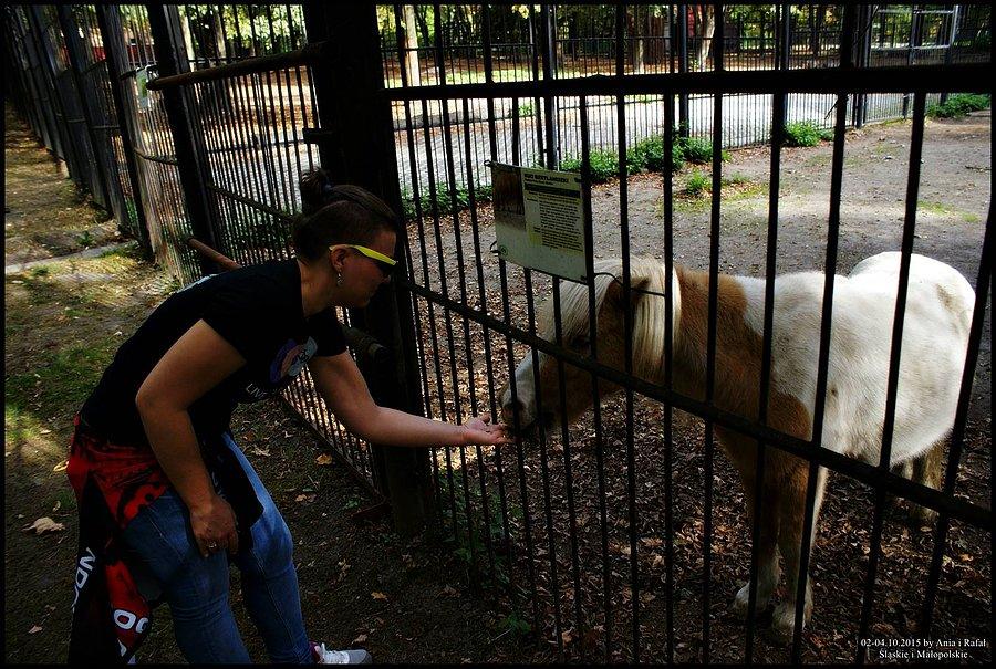 Śląski Ogród Zoologiczny