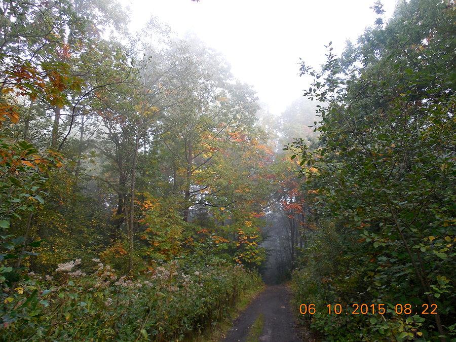 Barwy wczesnej jesieni