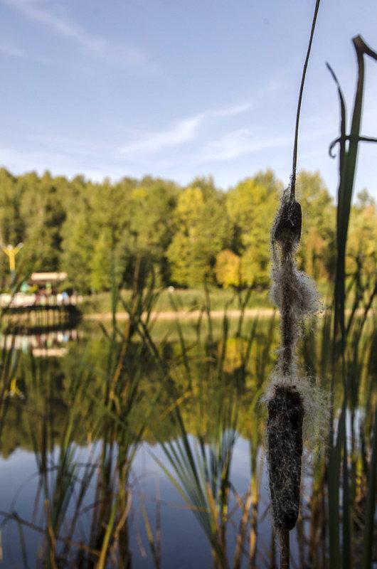 Pałki nad zalewem