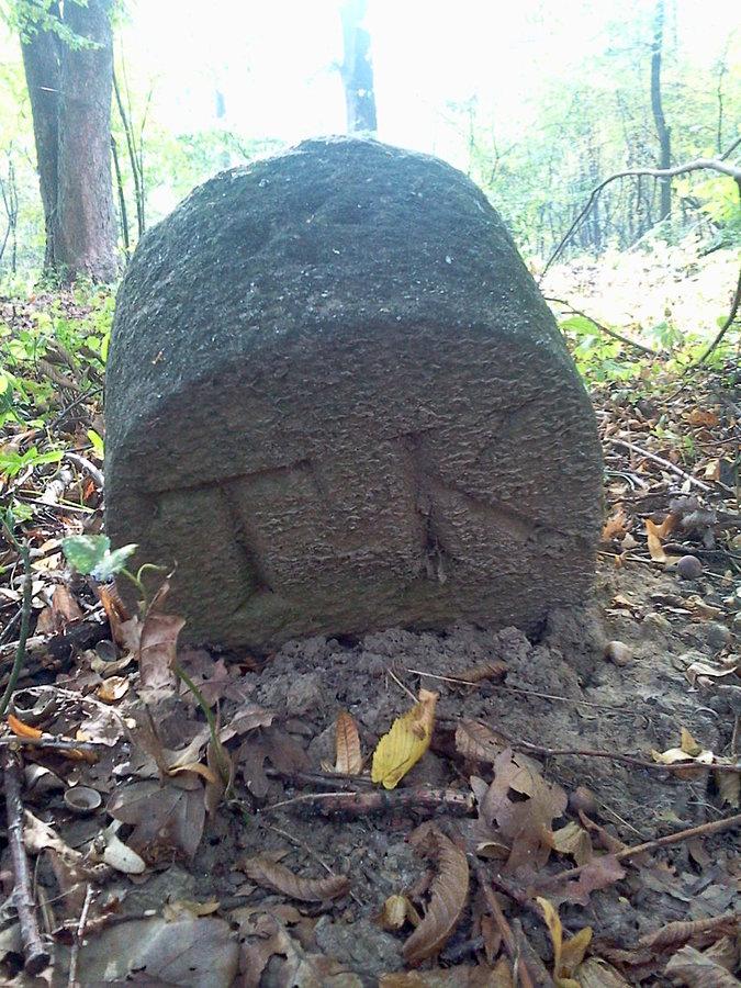 W Pogórzu