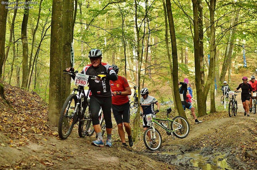 Skandia Maraton Lang Teem - Kwidzyn 2015 r