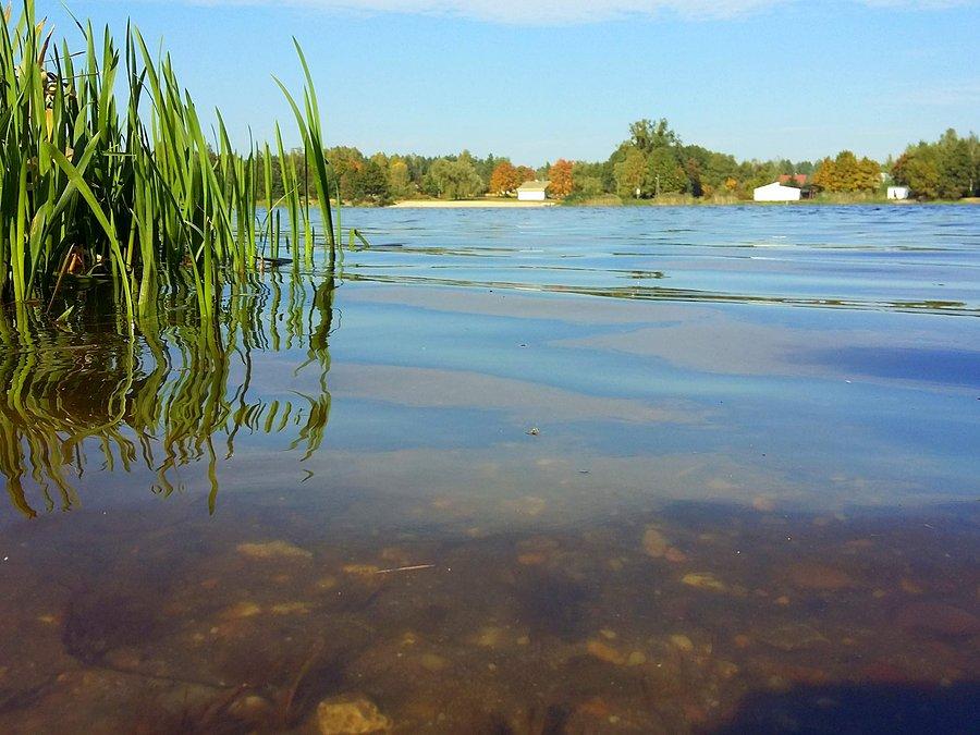 Jezioro Blachownia sfotografowane przez żabę ;)