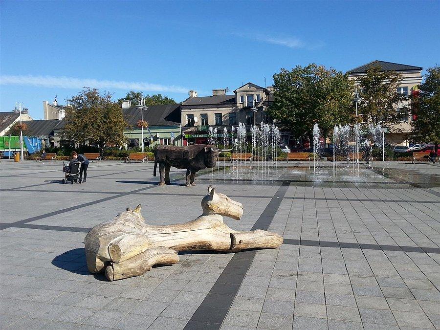 Na lwicy wolno siadać dzieciom, inne zwierzęta gryzą
