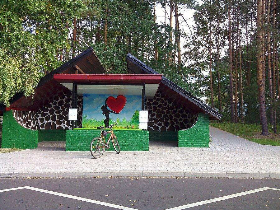 Przystanek pod szpitalem w Nowej Soli