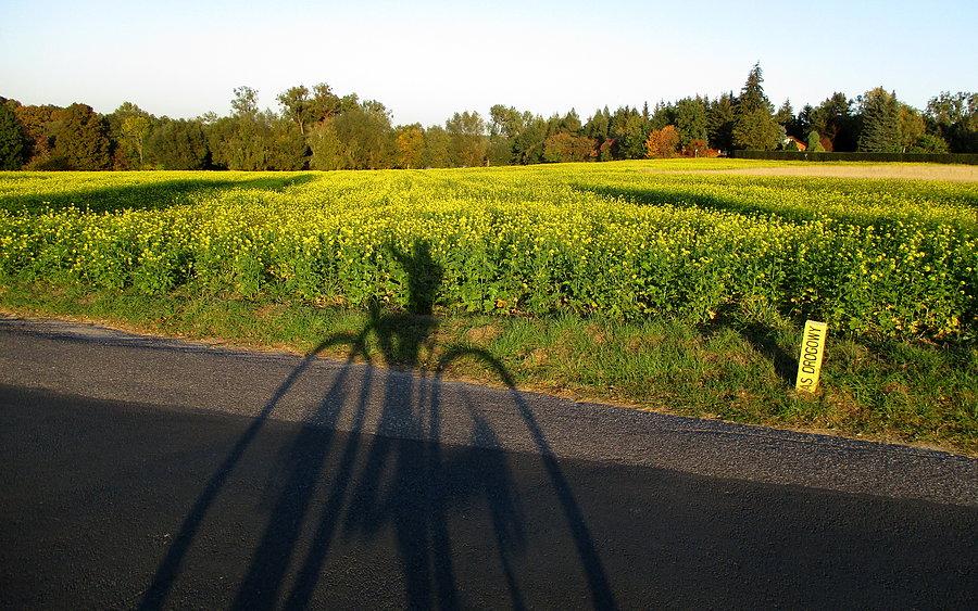 Tak, to mój cień. Plenery robią się kolorowe :)