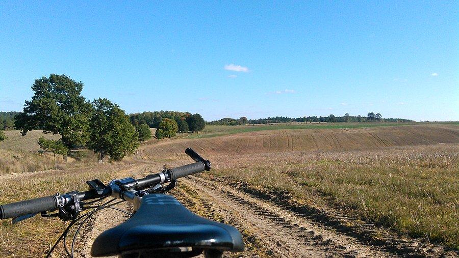 Między Worowem a Szosą Świdwińską