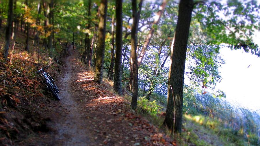 Czerwony nad Góreckim