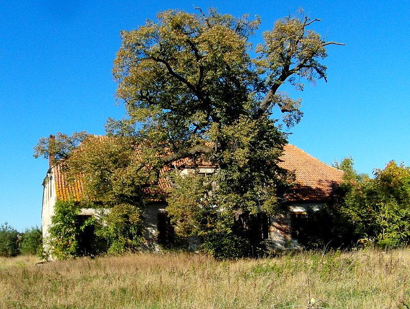 Szlak Dolina Dolnej Wisły - kierunek Opalenie