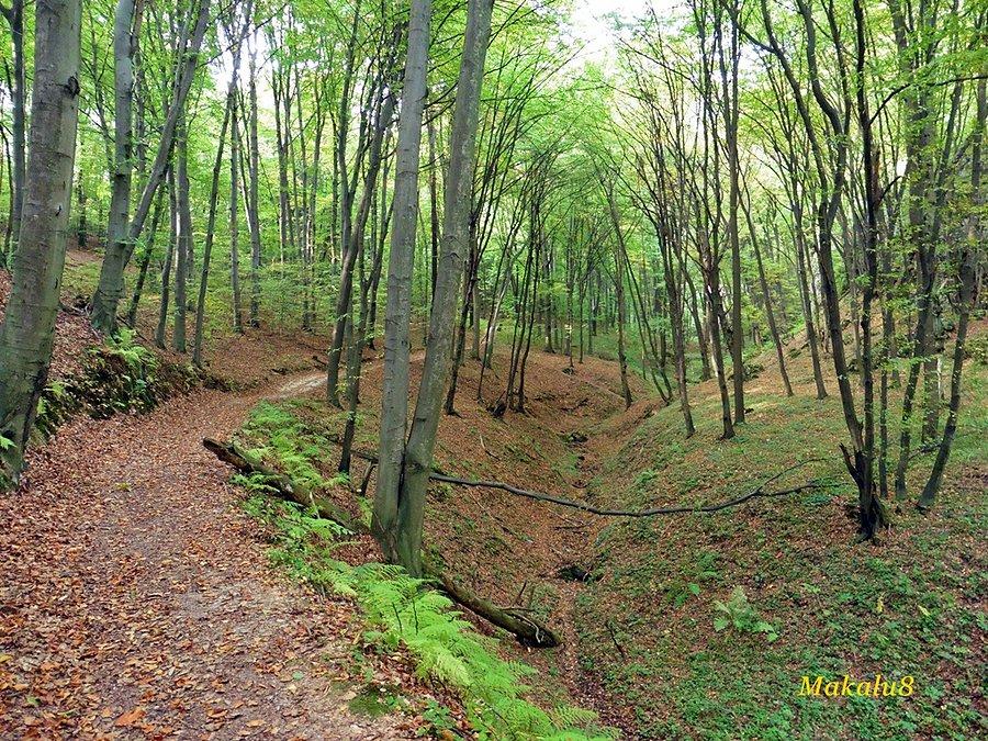 Wąwóz Półrzeczki, najlepszy fragment wycieczki