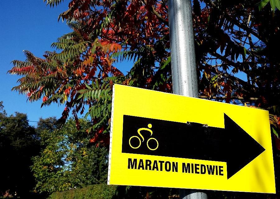 Maraton Miedwie