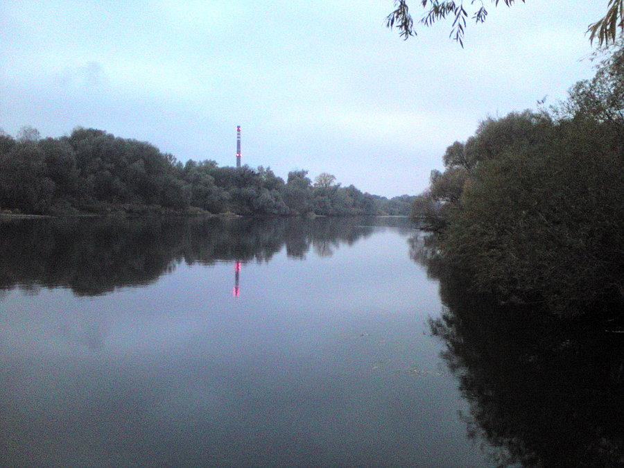 Szaruga nad Odrą