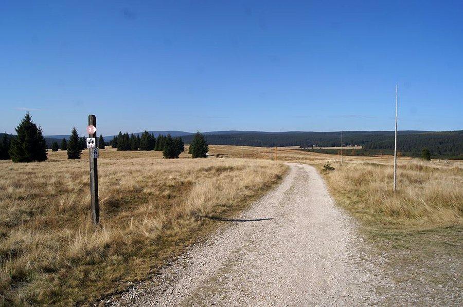 Pogoda na zamówienia, chociaż całkiem rześko było
