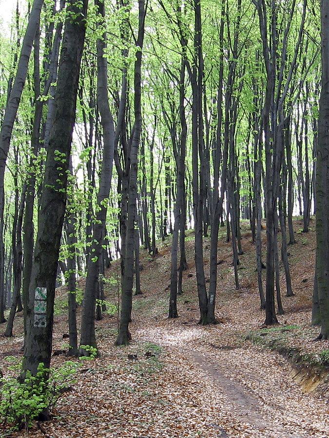 Pierwszy większy podjazd przed nami