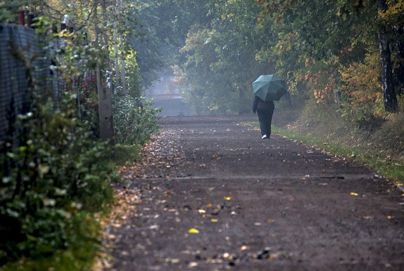 A w Zabrzu pada deszcz