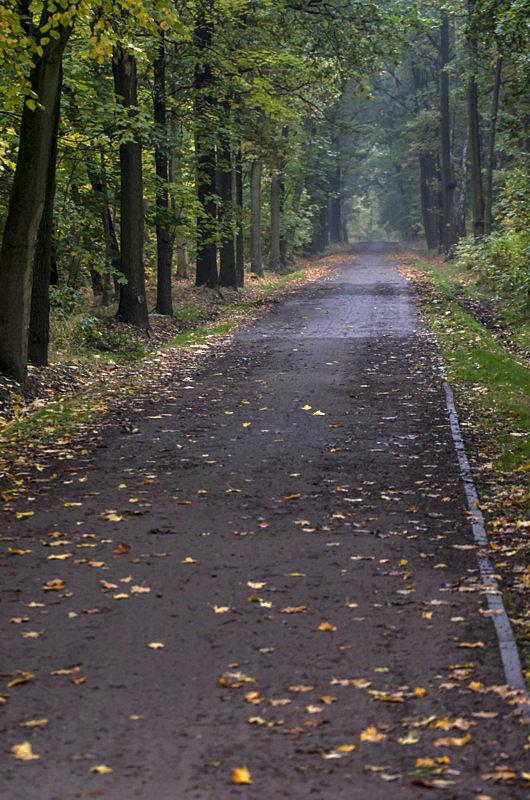 Ciemno, wszędzie... zimno, wszędzie