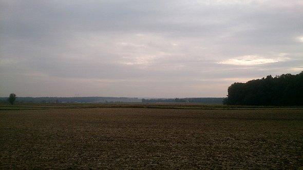 Pola koło Bystrzejowic