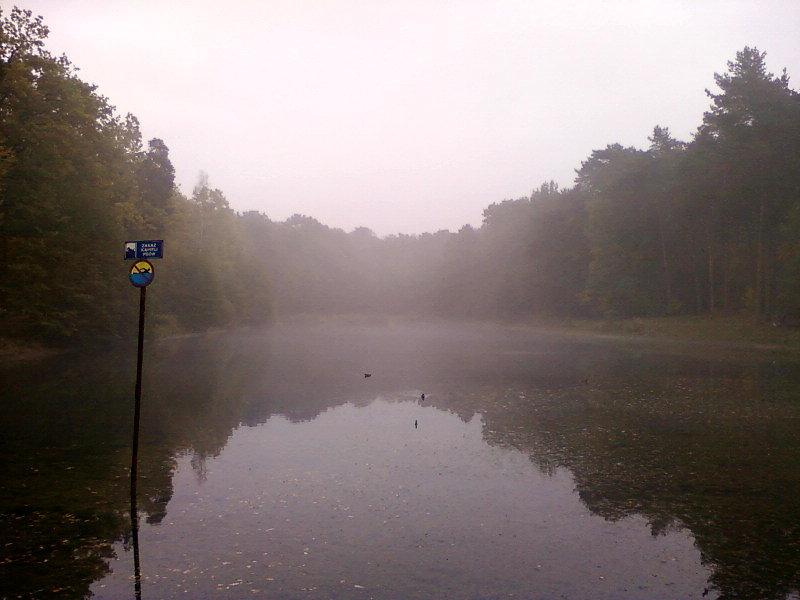 Zamglony staw w Arturówku