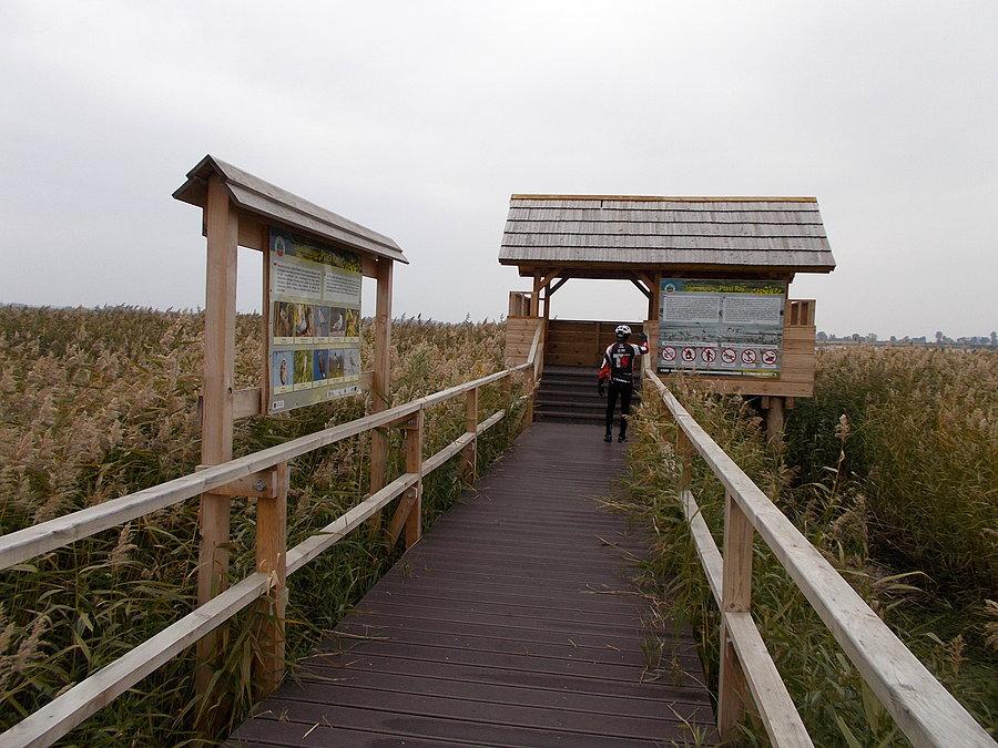 Czatownia nad Elbląg Bay