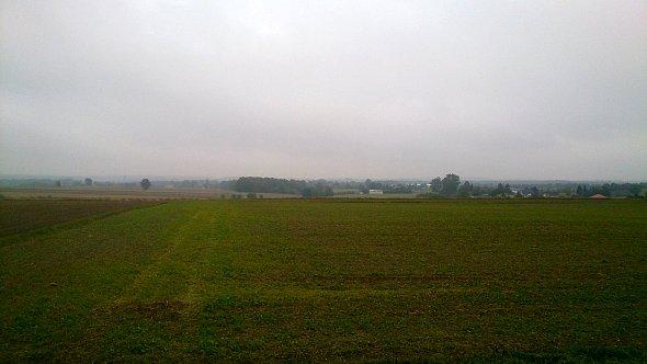 Deszczowe pola w Osmolicach