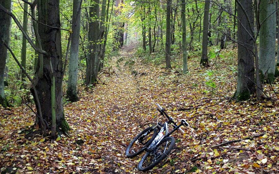 Badanie kolejnych ścieżek