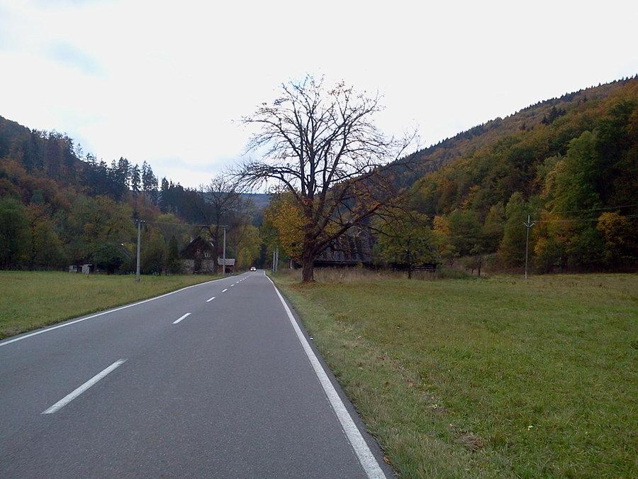 Dolina Łomnej