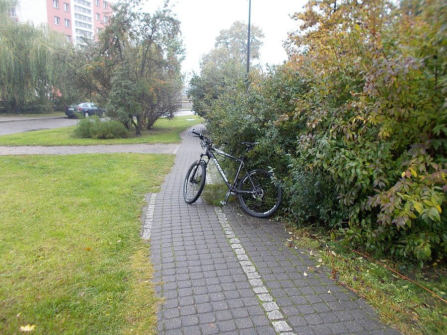 Zarośnięta ścieżka rowerowa