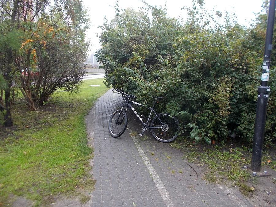 Zarośnięta ścieżka rowerowa