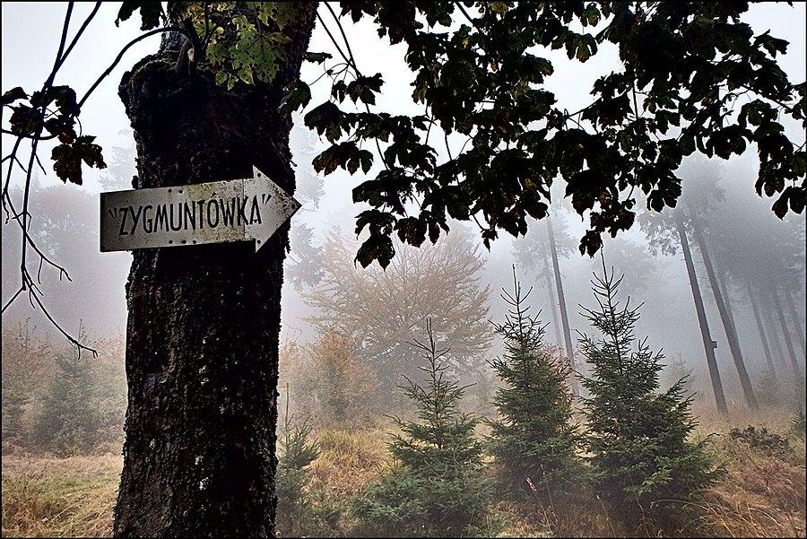 Kierunek schronisko