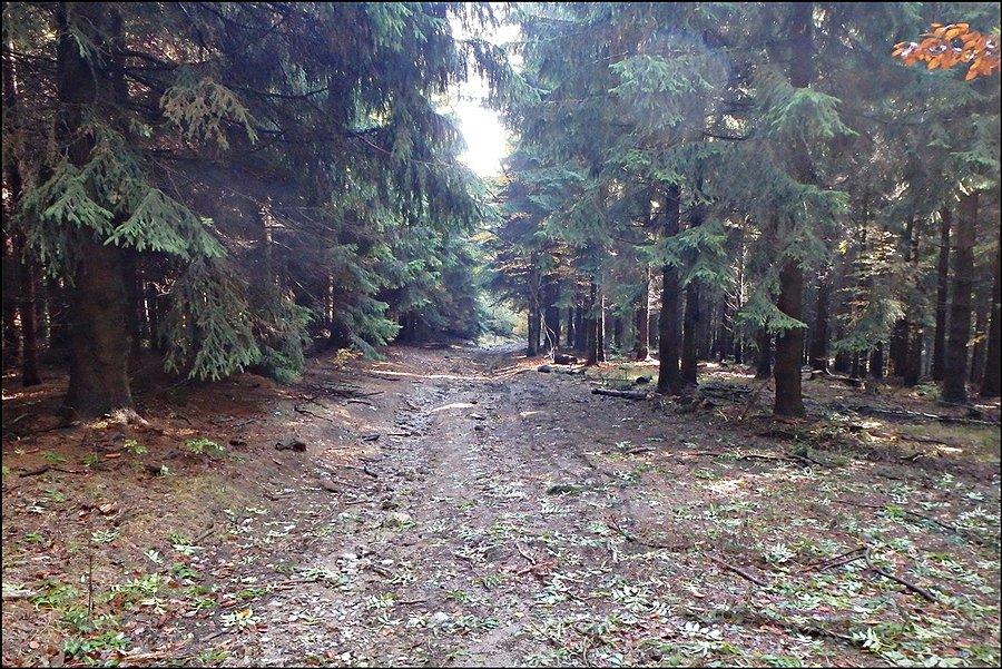 Podjazd