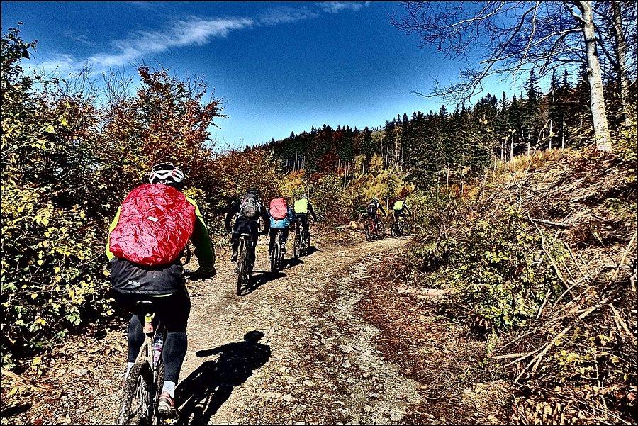 Rowersi podjeżdżają