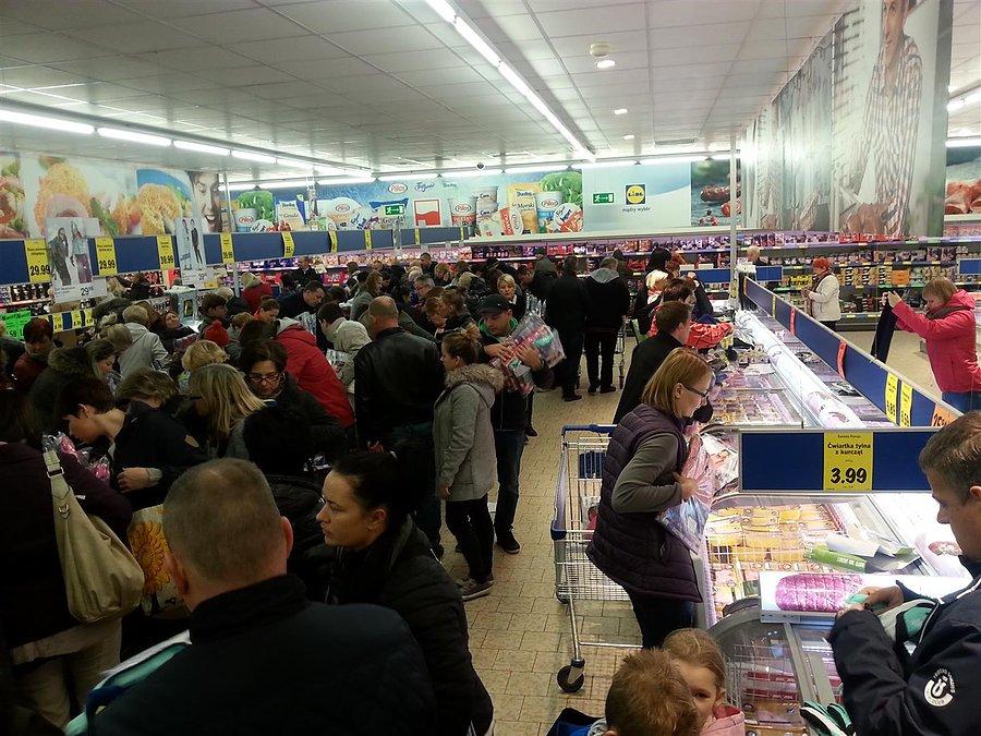 Pojedziemy na łów, na łów, towarzyszu mój!