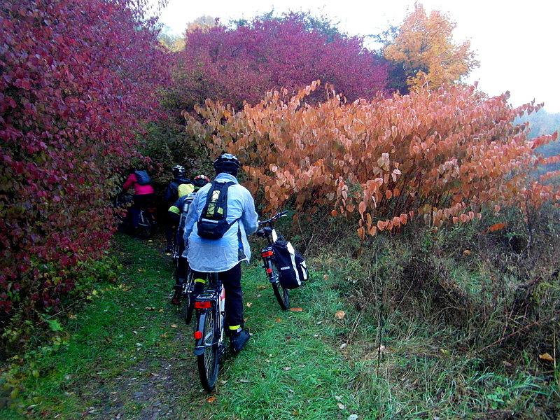 Na szlaku -Twierdza Modlin- Nowy Dwór Mazowiecki