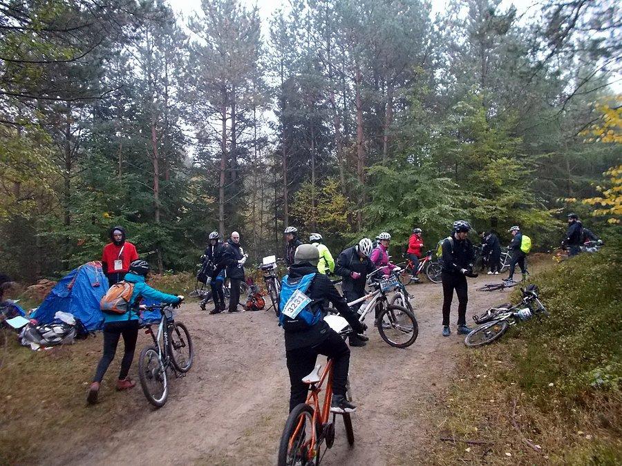 50 Harpagan - Sierakowice