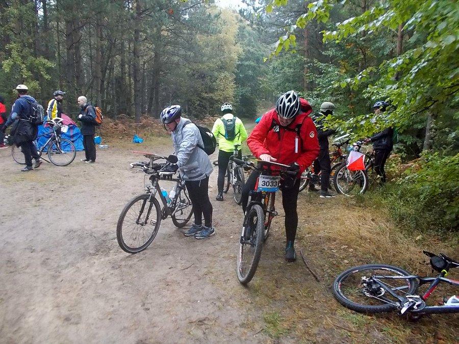 50 Harpagan - Sierakowice