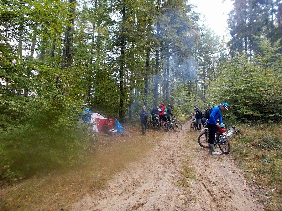 50 Harpagan - Sierakowice