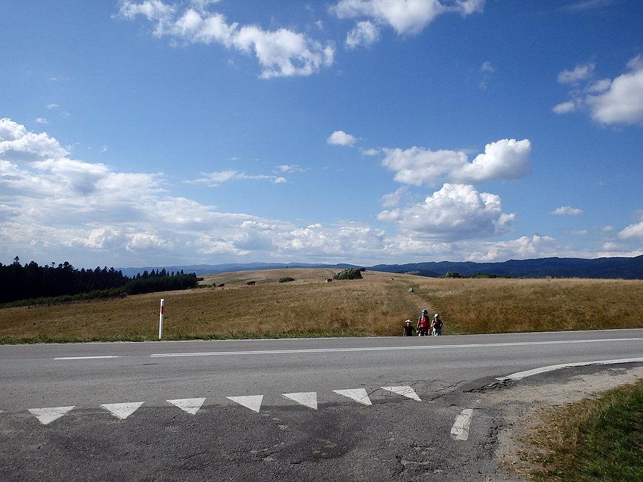 Przełęcz Osice (Góry MRDP'14)