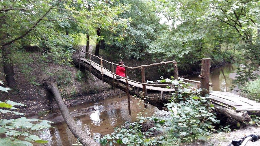 Mazowiecki Park Krajobrazowy. Rz. Mienia
